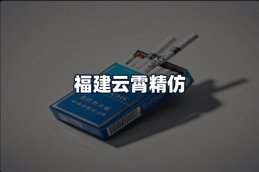 福建云霄精仿
